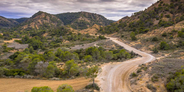 Ensayos de Penetración en arena y grava en el Baix Camp