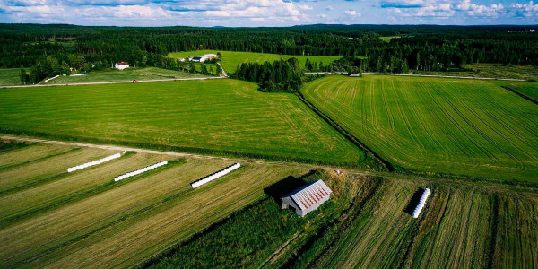 Estudios de suelos agrícolas en el Baix Camp