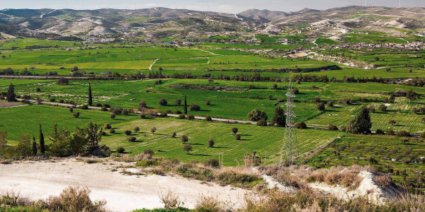 Estudios de suelos para agricultura en el Baix Camp